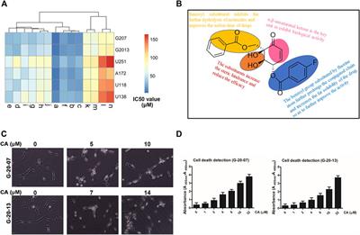 Cyclohexene oxide CA, a derivative of zeylenone, exhibits anti-cancer activity in glioblastoma by inducing G0/G1 phase arrest through interference with EZH2